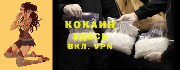 гашик Покровск