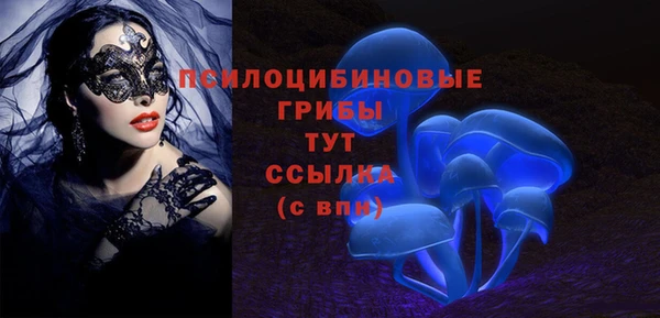 молекула духа Киров