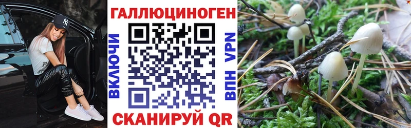 купить наркотики цена  Лакинск  Псилоцибиновые грибы прущие грибы 